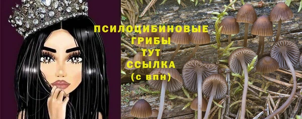 амф Богданович