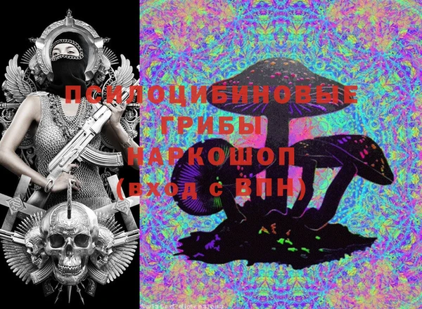 амф Богданович
